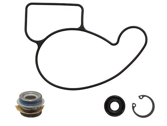 Sno-X Water Pumpe repair Sett Arctic Cat