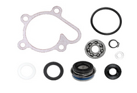 Bronco Water Pumpe repair Sett – bilde 1