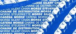 Regina camchain rivet link 82RH2010m