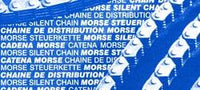 Regina camchain rivet link 82RH2010m – bilde 1