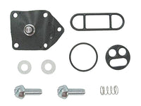 TMV Bensin petcock repair Sett – bilde 1