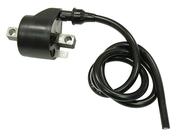 Bronco Igntion coil Polaris