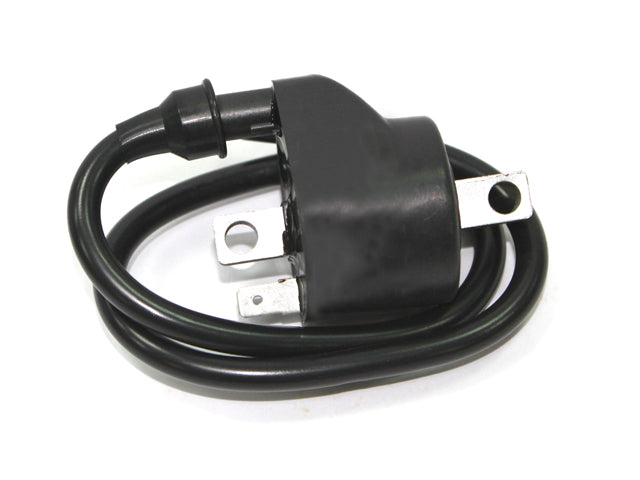 Bronco Igntion coil Polaris