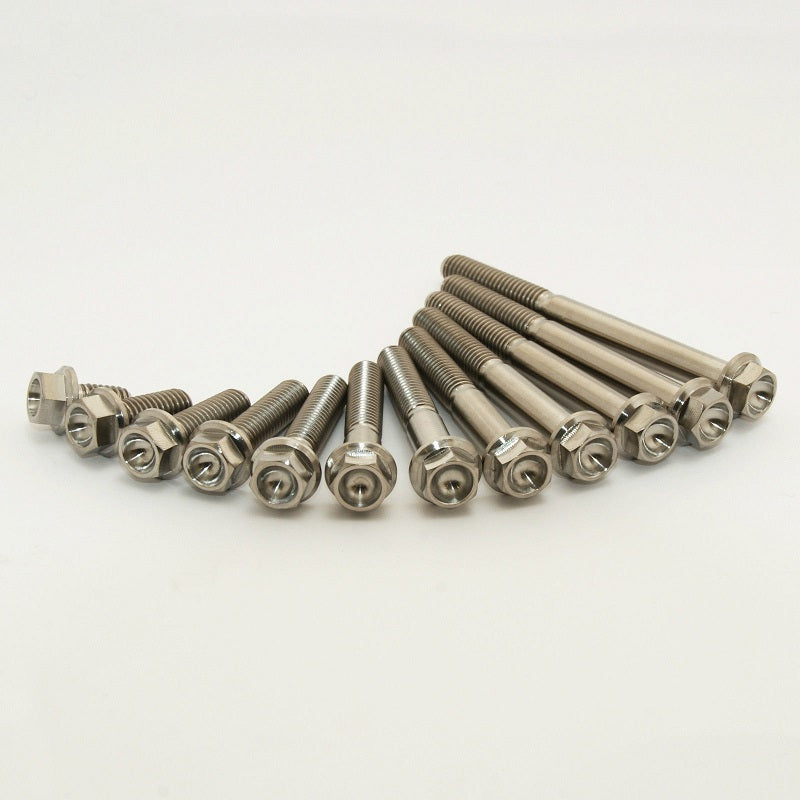 Scar 2 x Titan hex head Flens Bolt M6 x 25 - Titan Gr5-Ti