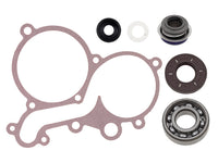 Sno-X Water Pumpe repair Sett Arctic Cat/Yamaha – bilde 1