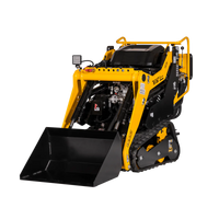 Lumag Tyskland Multi Truck MT250 - Multimaskin – bilde 1